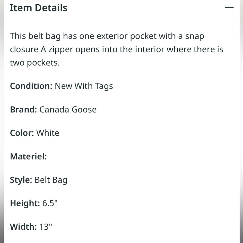 Canada Goose x Angel Chen Waistpack Waist bag New w/tags very limited edition - Picture 8 of 14